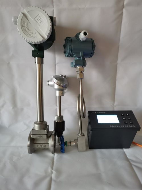 吉林長(zhǎng)春食品廠專用蒸汽流量表 蒸汽計(jì)量表